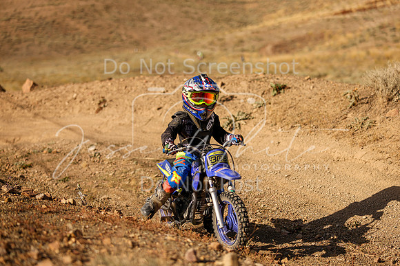 IMG_8386-308z