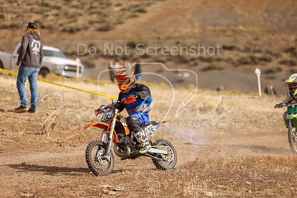 IMG_8507-375y