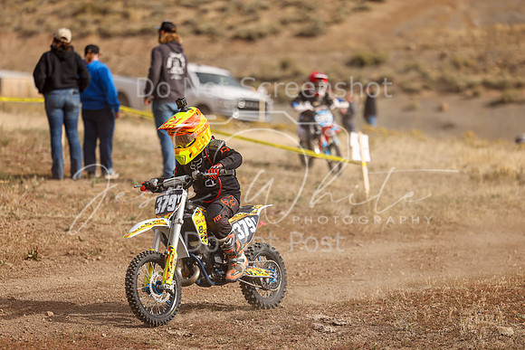 IMG_8516-379y