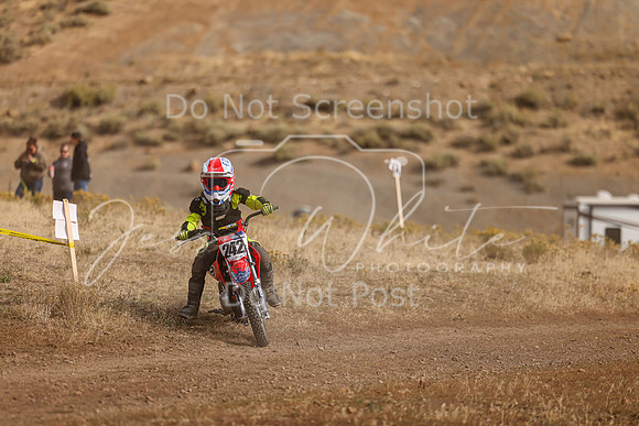 IMG_8546-242f