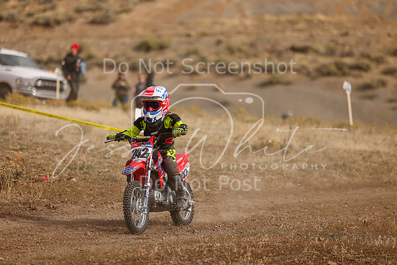 IMG_8548-242f