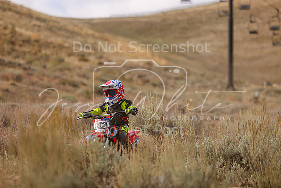 IMG_8587-242f