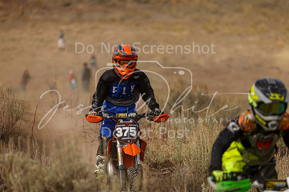 IMG_8645-375y
