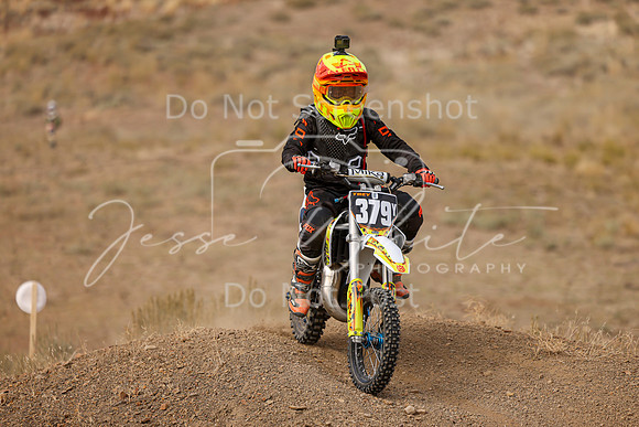 IMG_8697-379y