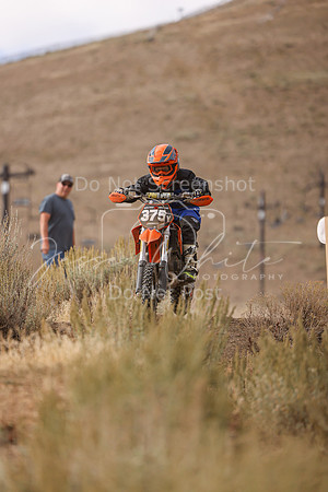 IMG_8795-375y