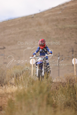 IMG_8817-411y