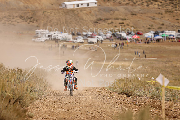 IMG_9041-888y