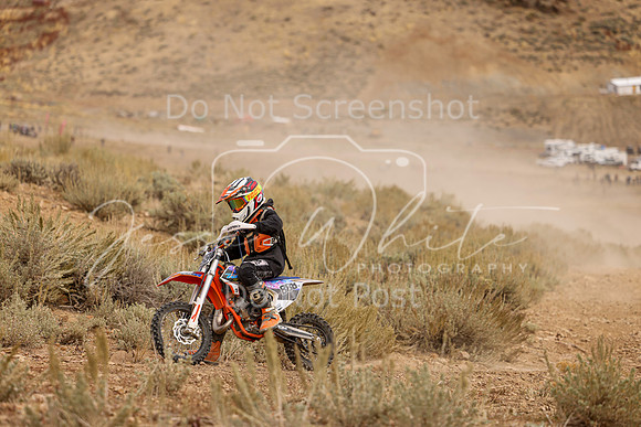 IMG_9043-888y
