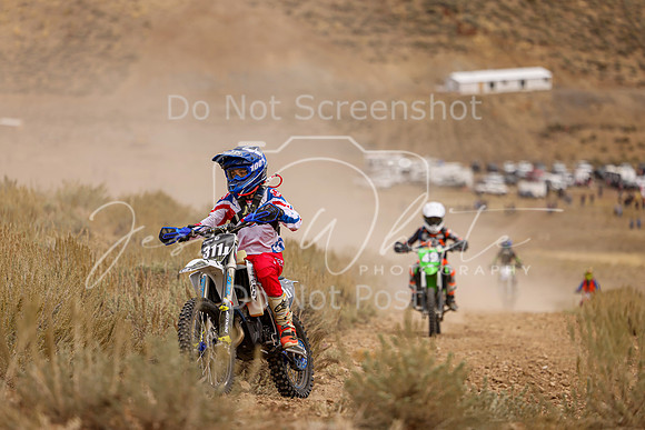 IMG_9146-311j