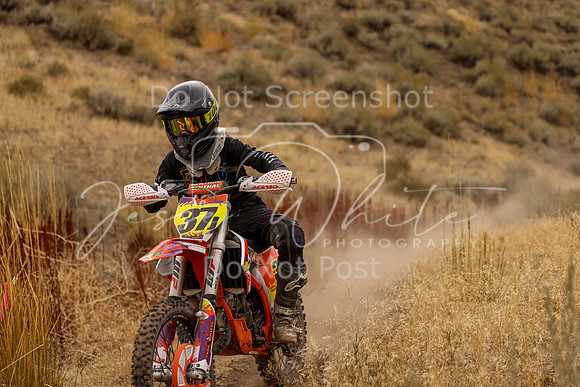 IMG_9185-37j