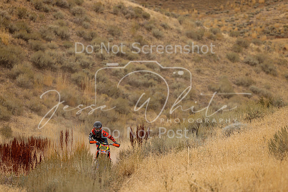 IMG_9194-812j