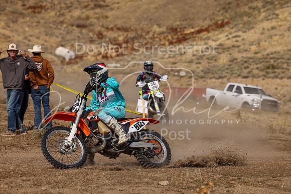 IMG_9684-812v