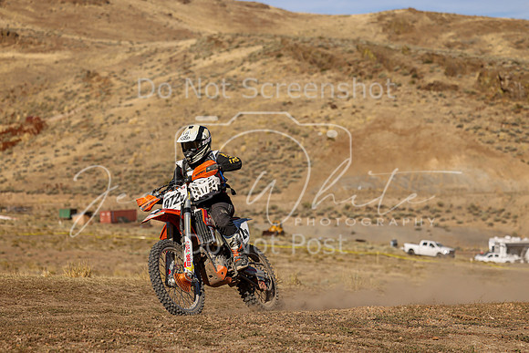 IMG_0087-972v