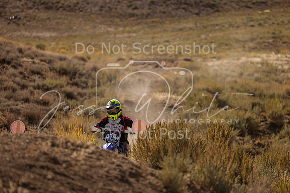 IMG_9927-474v
