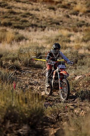 IMG_0119-989v