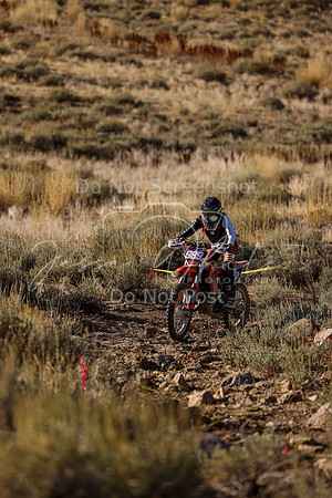 IMG_0115-989v