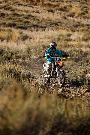 IMG_0148-812v
