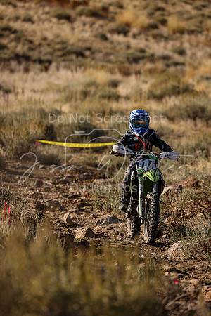 IMG_0178-117v