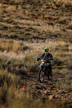 IMG_0201-58v