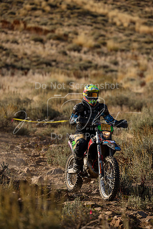 IMG_0205-58v