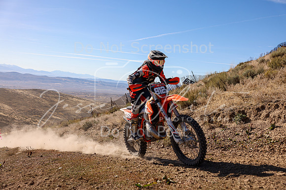 IMG_0481-812a