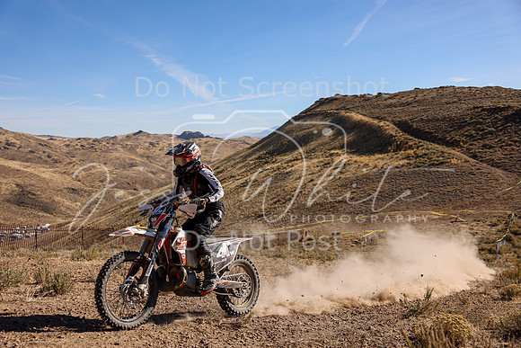 IMG_0497-41w
