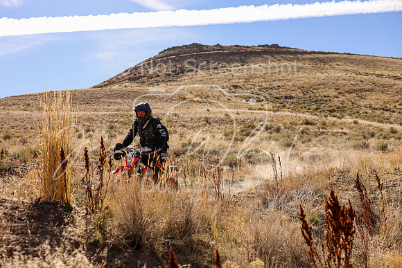 IMG_0688-311p