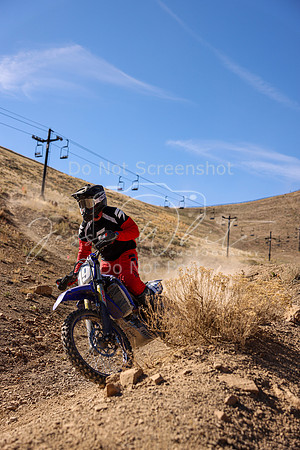IMG_0737-19p