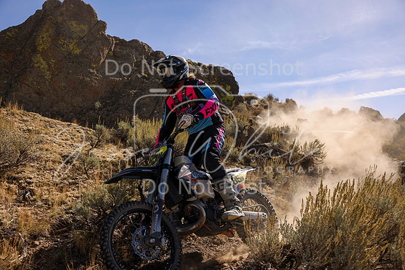 IMG_0977-85n