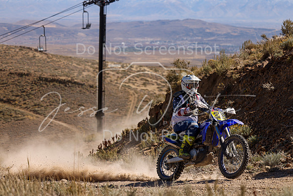 IMG_1131-338p