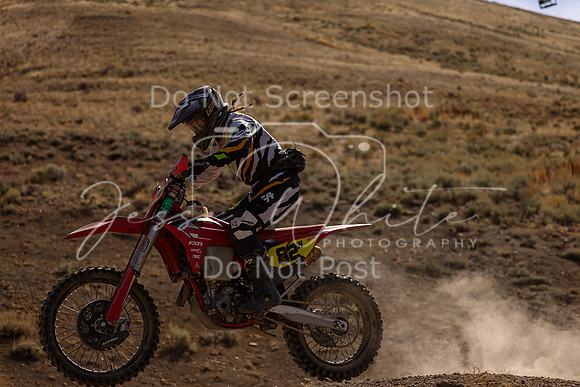 IMG_1269-82w