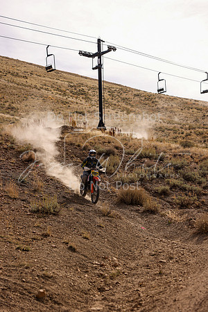 IMG_1417-696m