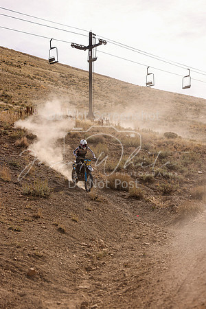 IMG_1431-91t