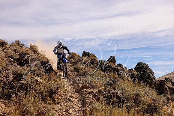 IMG_1526-699x