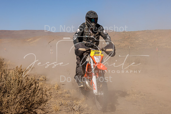 IMG_3093-311p