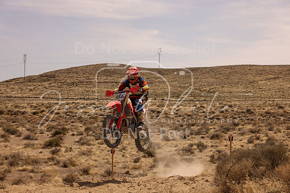 IMG_3681-954n