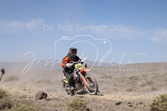 IMG_3866-696m