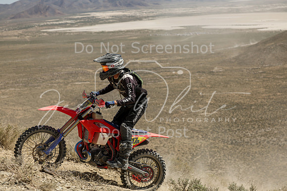 IMG_3499-n17a