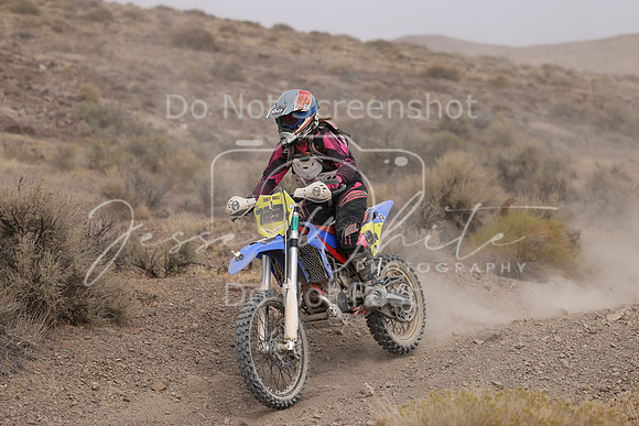 IMG_9036-723v
