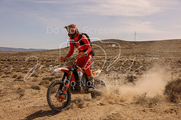 IMG_3650-12p