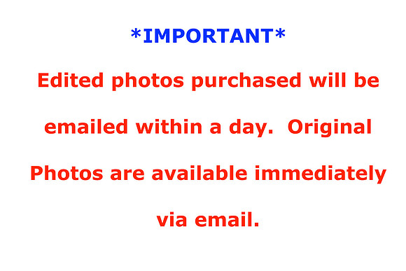a INFO copy