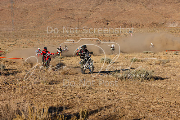 IMG_3100-775n-13p