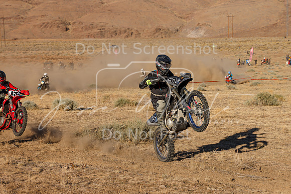 IMG_3101-775n
