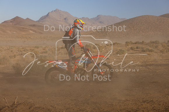 IMG_3108-4m