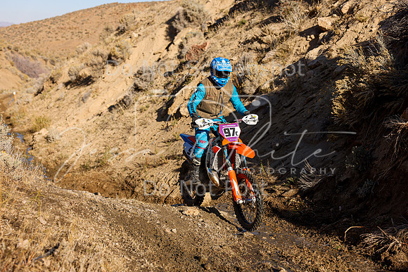 IMG_3186-97c