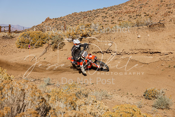 IMG_3306-66t