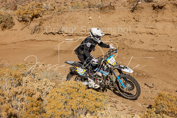 IMG_3318-91t