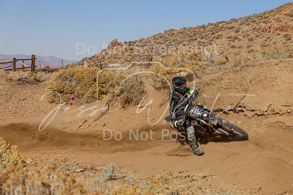 IMG_3348-775n