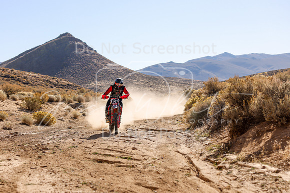 IMG_3372-13p