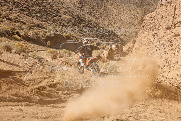 IMG_3389-66t